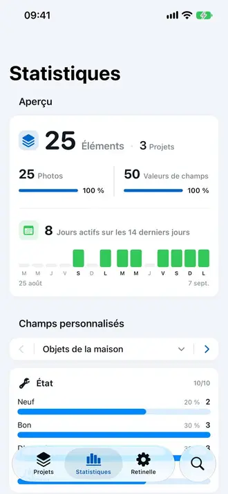 Écran d'analyse d'inventaire dans Retinelle